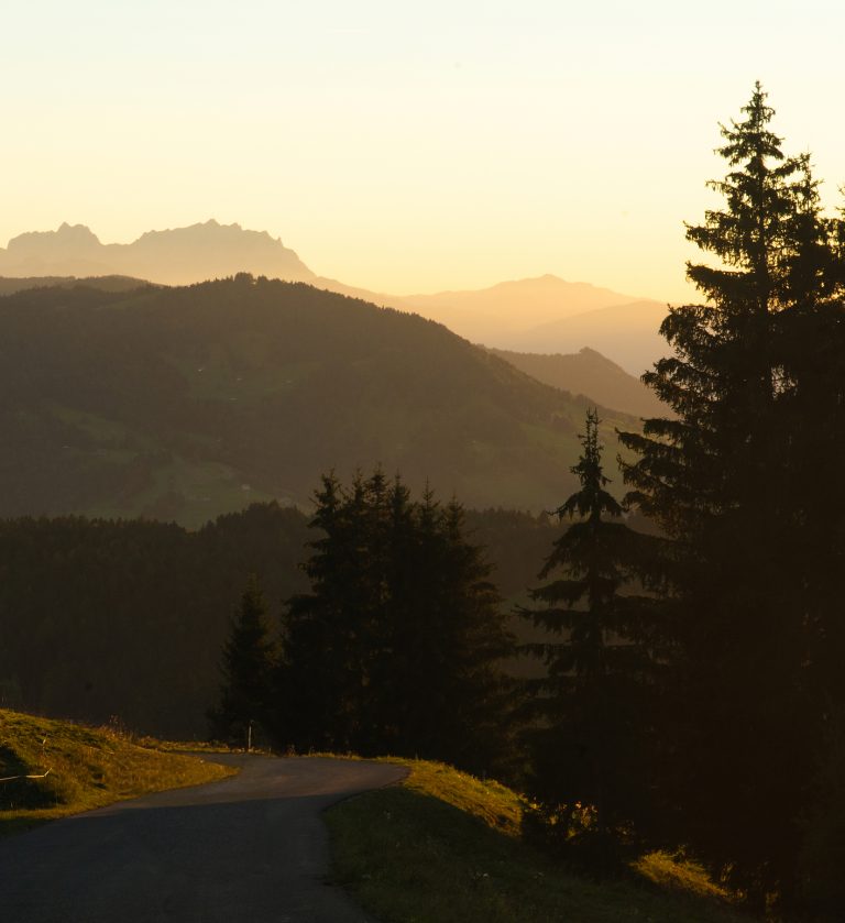 Schmale Bergstraße zum Almhotel Hochhäderich im Bregenzerwald, gesäumt von Almwiesen und Fichten, dahinter bewaldete Hügel und Berggipfel im warmen Abendlicht.