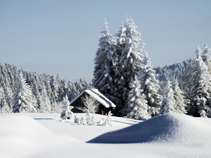 Kleiner Holzstadel versinkt in weichen Schneewellen, umgeben von hohen, tief verschneiten Fichten unter hellblauem Winterhimmel.