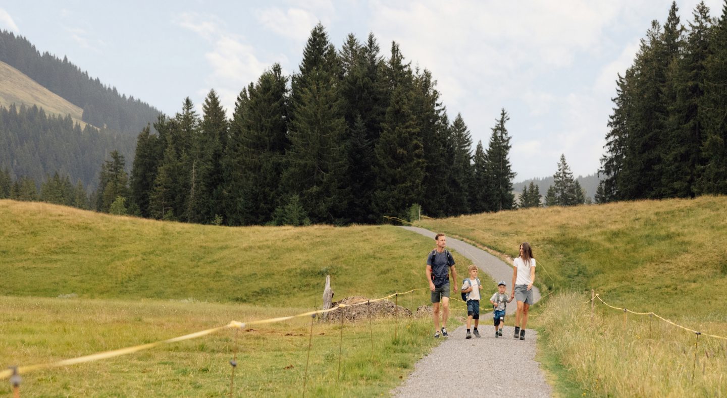 Familie mit zwei Kindern wandert auf einem Schotterweg über Almwiesen, im Hintergrund Fichtenwald und Berghänge.