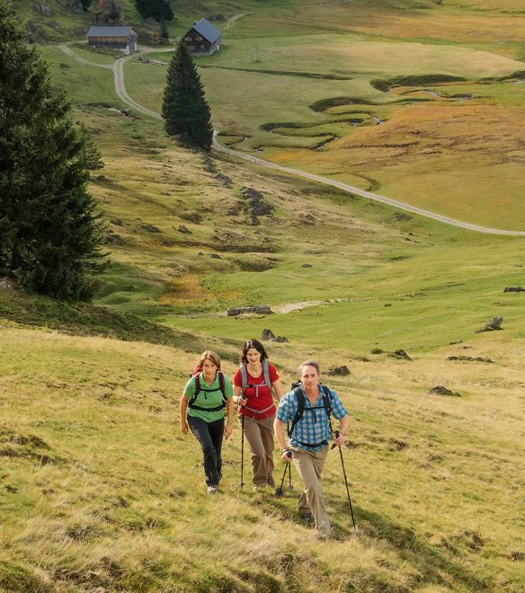 Drei Wandernde mit Rucksäcken und Stöcken steigen einen Wiesenhang hinauf, unten liegen zwei Almhütten.